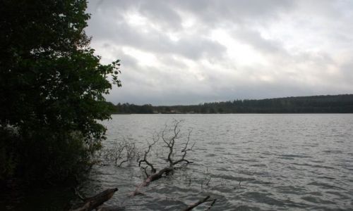 Zdjęcie DANIA / Jutlandia / Silkeborg / Poszukiwanie jesieni w Silkeborg