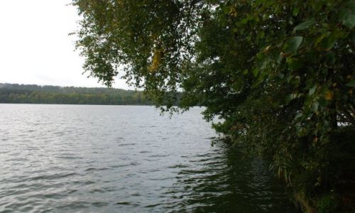 Zdjęcie DANIA / Jutlandia / Silkeborg / Poszukiwanie jesieni w Silkeborg