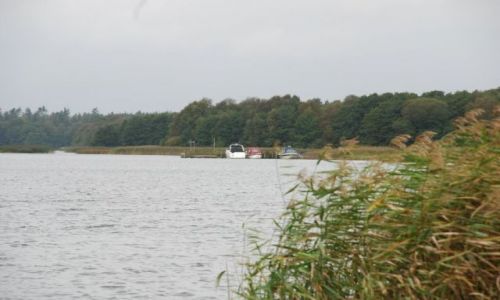 Zdjęcie DANIA / Jutlandia / Silkeborg / Poszukiwanie jesieni w Silkeborg