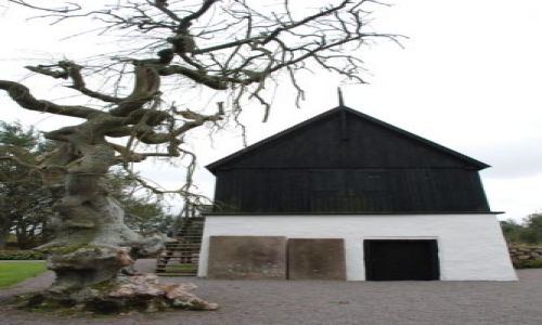 Zdjęcie DANIA / Bornholm / Bornholm  / Dzvon+treee