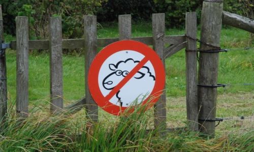 Zdjecie DANIA / Bornholm  / Bornholm  / NO ENTER 