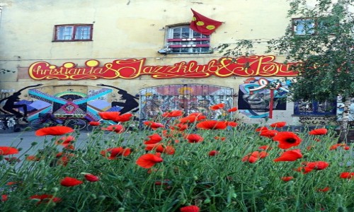 Zdjecie DANIA / Kopenhaga / Christiania, dzielnica pautonomiczna / Makowy wiat