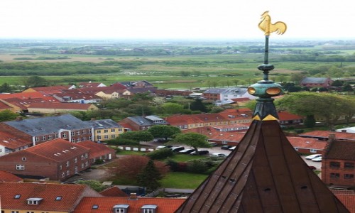 Zdjcie DANIA / Ribe / Katedra Najwitszej Maryi Panny / Kogucik 