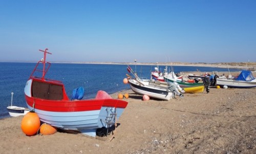 Zdjcie DANIA / Pnocna Jutlandia / Miejscowo Klitmoller / W kolorowych owi si lepiej