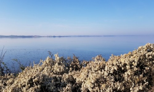 Zdjcie DANIA / Dania poudniowa / Zatoka Kalo Vig / Z samego rana 