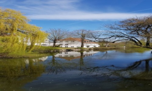 Zdjcie DANIA / Miasto Odensee / Most w Odensee / Wiosna na wierzbie