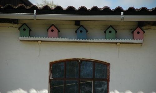 Zdjecie DANIA / Bornholm / Gudhjem / karmniki