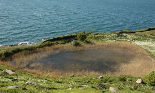 Zdjecie DANIA / Bornholm / Hammeren / stawik