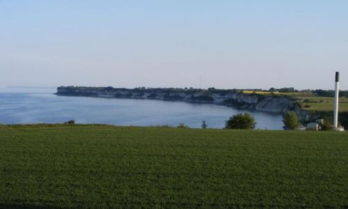 Zdjęcie DANIA / Stevns / Holtug / klify