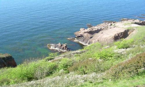 Zdjecie DANIA / brak / U podna Hammershus / Bornholm 