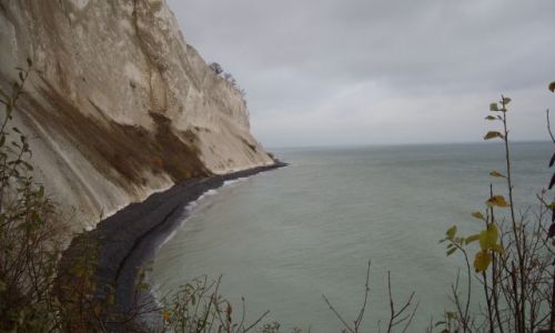 Zdjecie DANIA / brak / Wyspa Mon / Klif kredowy 