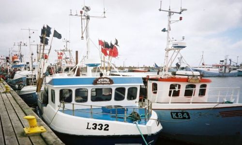 Zdjecie DANIA / Thyboron / Port / Kutry w porcie - na morzu sztorm !