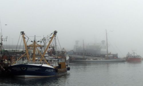 Zdjęcie DANIA / Wyspy Owcze / Vagur / Mgła !