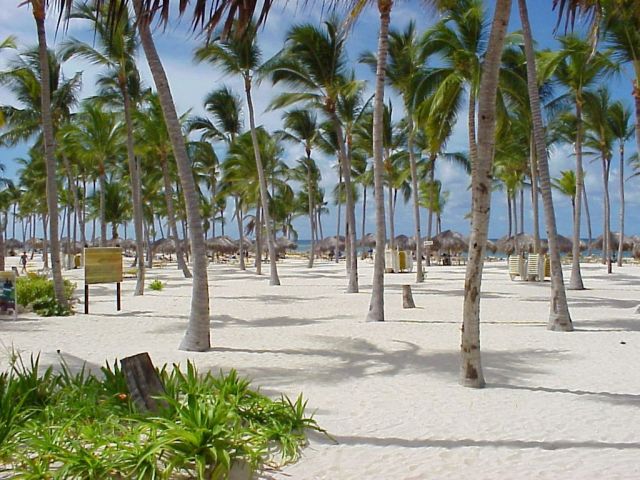 Zdjęcia: Isla Saona plaza, Punta Cana, Isla saona, DOMINIKANA Zdjęcia: Isla Saona plaza, Punta Cana, Isla saona, DOMINIKANA