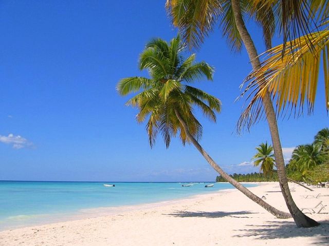 Zdjęcia: Saona, Saona, Troche lata w środku zimy :), DOMINIKANA Zdjęcia: Saona, Saona, Troche lata w środku zimy :), DOMINIKANA
