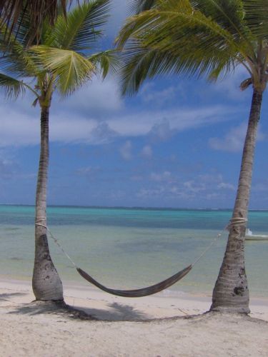 Zdjęcia: Bavaro, Punta Cana, "uśmiechnięta" plaża, DOMINIKANA Zdjęcia: Bavaro, Punta Cana, "uśmiechnięta" plaża, DOMINIKANA