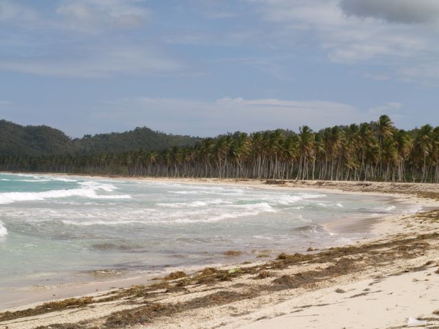 Zdjęcia: Dominikana , Plaże Rincon, DOMINIKANA Zdjęcia: Dominikana , Plaże Rincon, DOMINIKANA