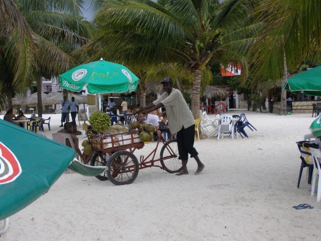 Zdjęcia: boca chica, santo domingo, cocero, DOMINIKANA Zdjęcia: boca chica, santo domingo, cocero, DOMINIKANA
