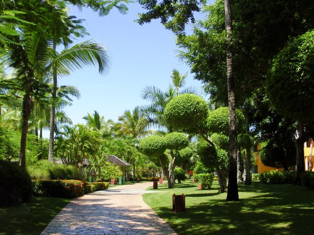Zdjęcia: Bavaro, Altagracia, jesienny ogród, DOMINIKANA Zdjęcia: Bavaro, Altagracia, jesienny ogród, DOMINIKANA