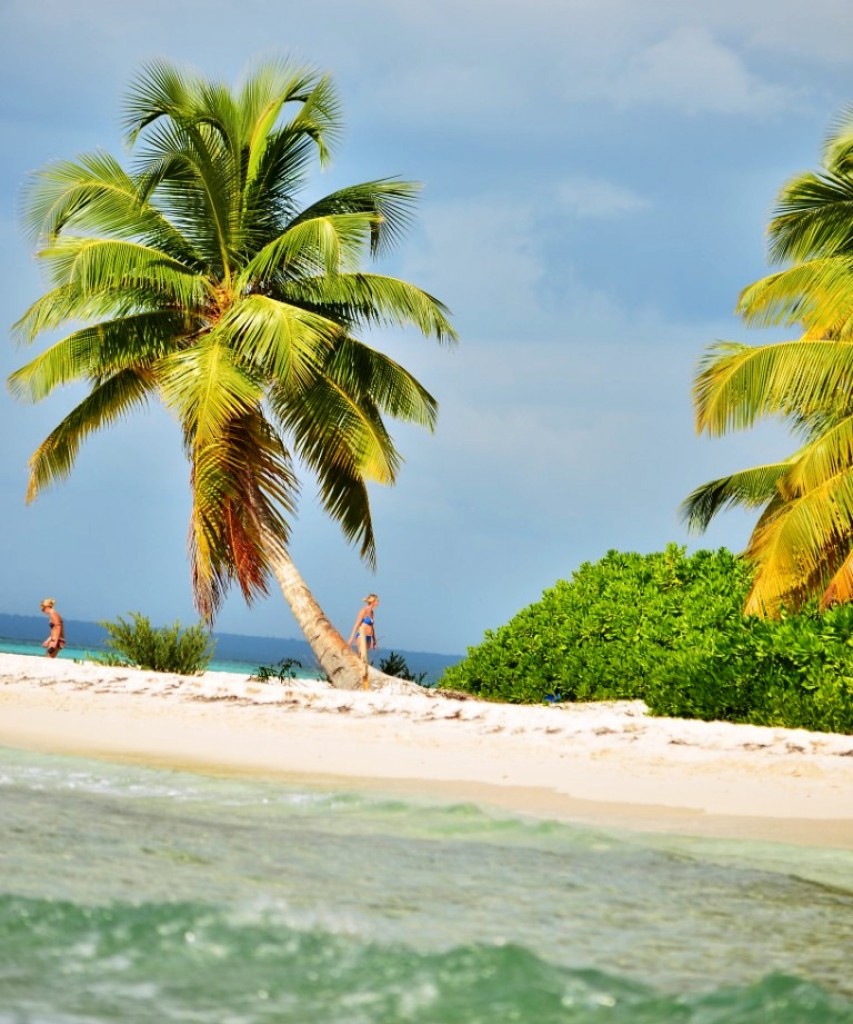 Zdjęcia: Saona, Isla Saona, Saona, DOMINIKANA Zdjęcia: Saona, Isla Saona, Saona, DOMINIKANA