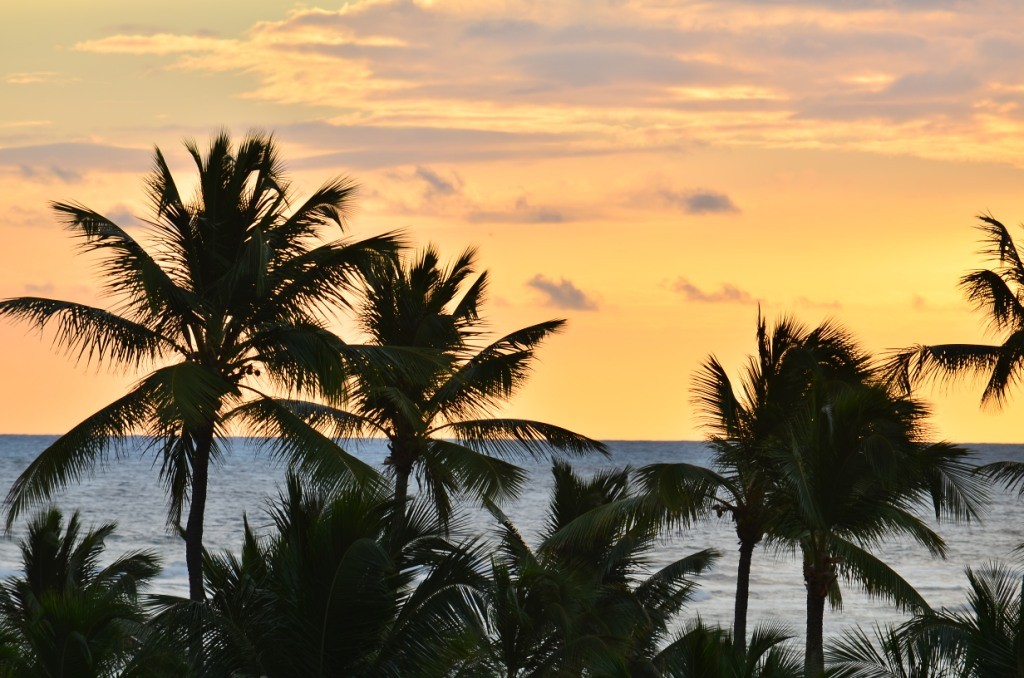 Zdjęcia: Plaża Bavaro, Punta Cana, słońce się budzi nad oceanem, DOMINIKANA Zdjęcia: Plaża Bavaro, Punta Cana, słońce się budzi nad oceanem, DOMINIKANA