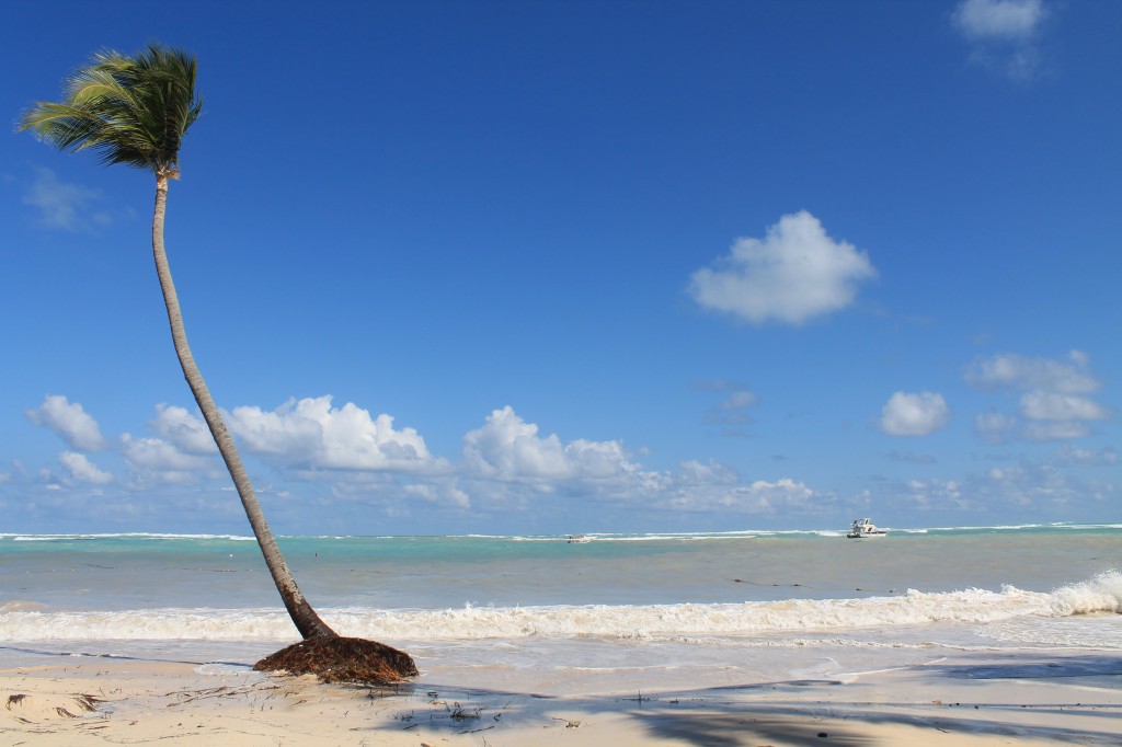 Zdjęcia: wybrzeże, Bavaro, lato zimą 2016, DOMINIKANA Zdjęcia: wybrzeże, Bavaro, lato zimą 2016, DOMINIKANA