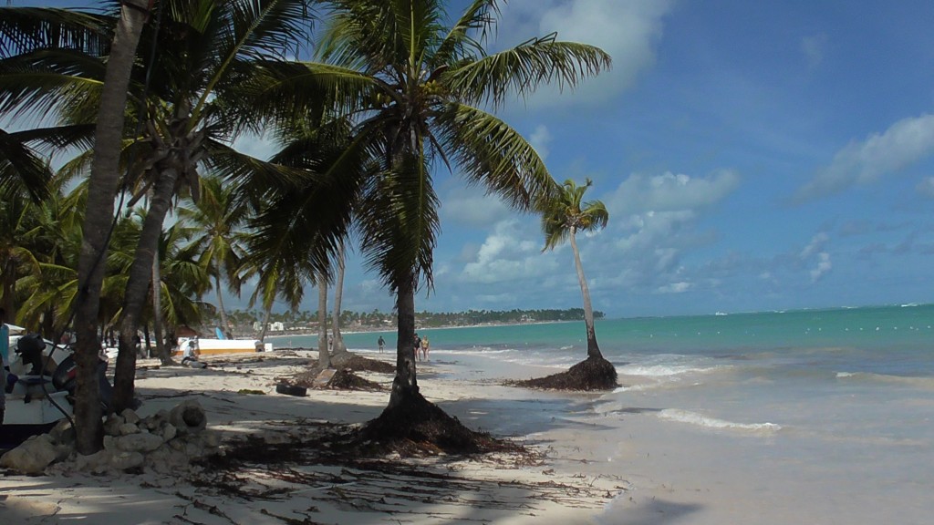 Zdjęcia: wybrzeże, plażą, Bavaro, DOMINIKANA Zdjęcia: wybrzeże, plażą, Bavaro, DOMINIKANA