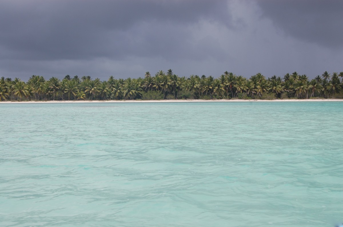 Zdjęcia: Saona, Dominikana, Wyspa Saona, Dominikana, DOMINIKANA Zdjęcia: Saona, Dominikana, Wyspa Saona, Dominikana, DOMINIKANA