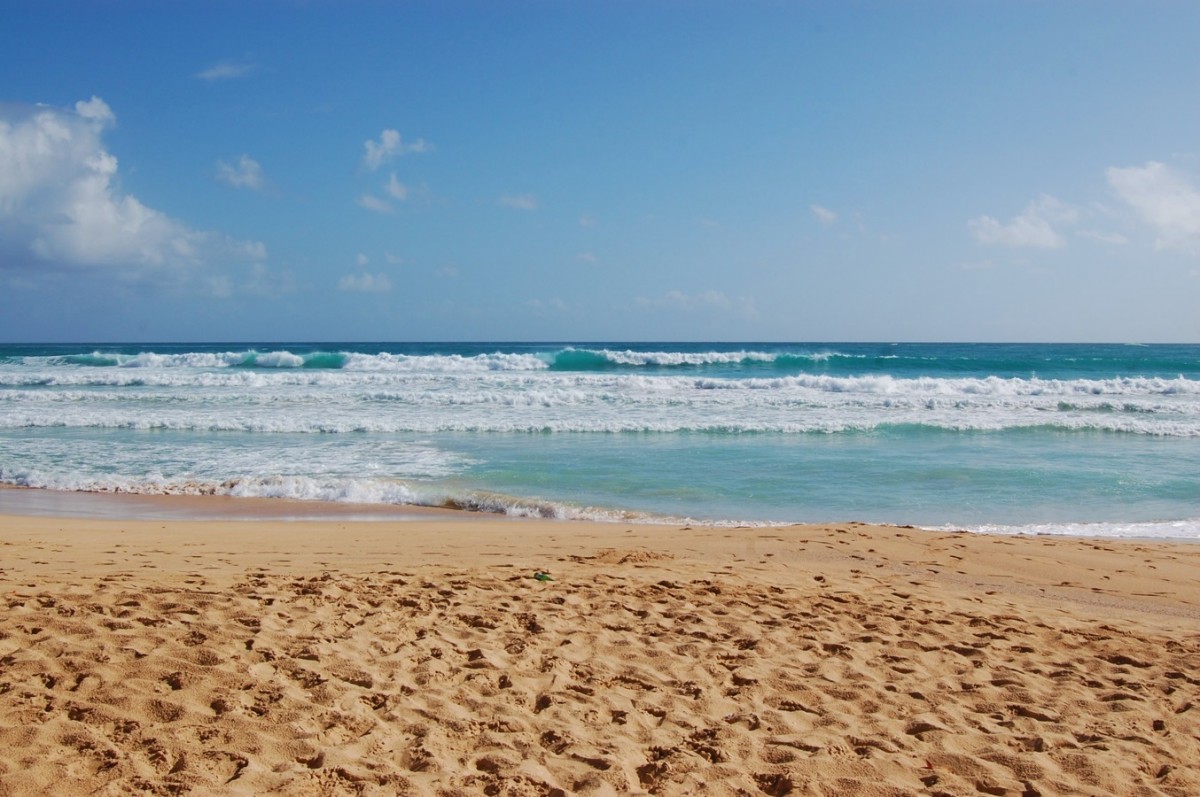 Zdjęcia: Macao, Dominikana, Playa Macao, Dominikana, DOMINIKANA Zdjęcia: Macao, Dominikana, Playa Macao, Dominikana, DOMINIKANA