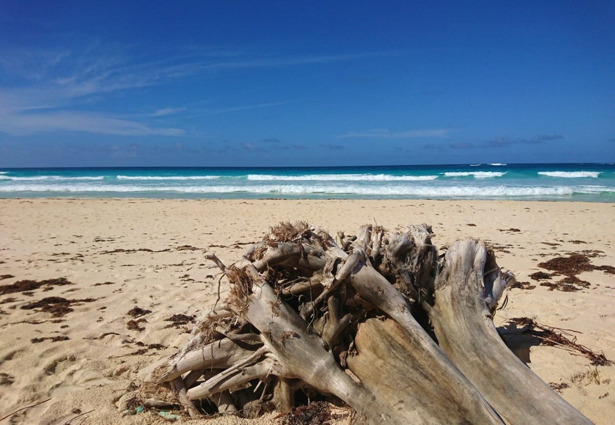 Zdjęcia: Punta Cana, Dominikana, Odpoczynek nad oceanem, DOMINIKANA Zdjęcia: Punta Cana, Dominikana, Odpoczynek nad oceanem, DOMINIKANA
