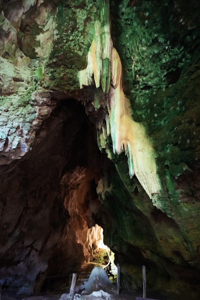 Zdjęcia: Park Narodowy Los Haitises,  Półwysep Samana, W jaskini Indian Taino, DOMINIKANA Zdjęcia: Park Narodowy Los Haitises,  Półwysep Samana, W jaskini Indian Taino, DOMINIKANA