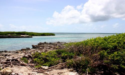 Zdjęcie DOMINIKANA / Bayahibe / Bayahibe / Wyspa Catalinita