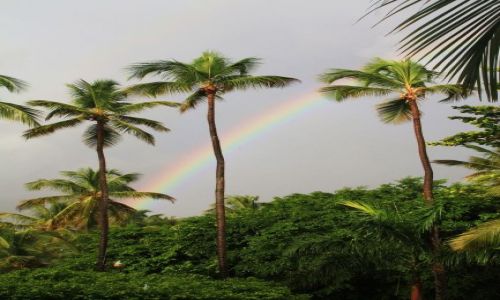 Zdjęcie DOMINIKANA / - /  Bacardi /  Bacardi