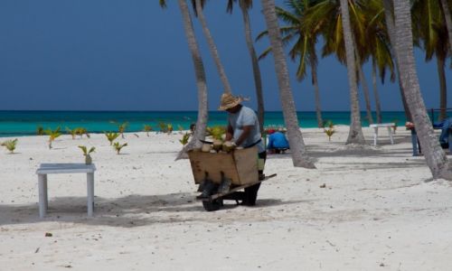 Zdjcie DOMINIKANA / poudniowe wybrzree / Isla Saona / kokosowy interes