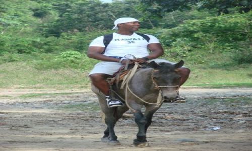 Zdjęcie DOMINIKANA / brak / region Jarabacoa znany z hodowli koni / u zbiegu rzek Rio Jimenoa i Rio Yaque del Norte