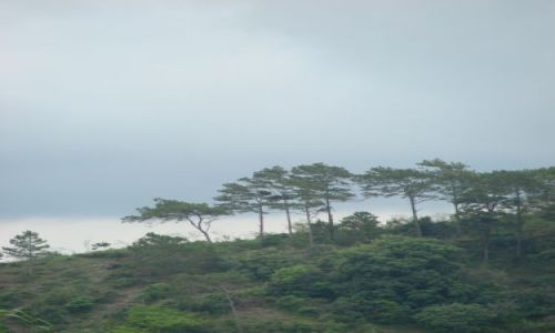 Zdjęcie DOMINIKANA / brak / region Jarabacoa znany z hodowli koni / u zbiegu rzek
