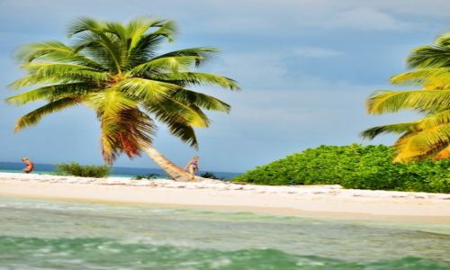 Zdjcie DOMINIKANA / Isla Saona / Saona / Saona