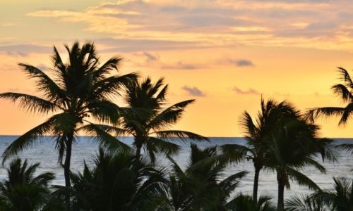 Zdjcie DOMINIKANA / Punta Cana / Plaa Bavaro / soce si budzi nad oceanem