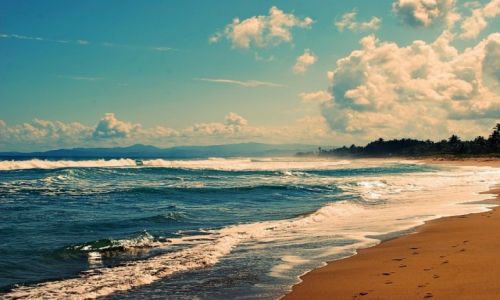 Zdjcie DOMINIKANA / cabrete / cabarete / perfect beach