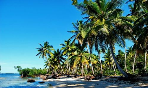 Zdjcie DOMINIKANA / Las Terenas / Las Terenas / realy wild beach