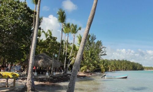 Zdjęcie DOMINIKANA / Bavaro / plaża / wybrzeże Bavaro