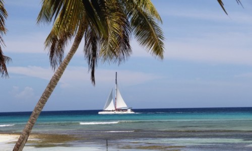 Zdjęcie DOMINIKANA / Saona Island / Saona Island / Dominikana