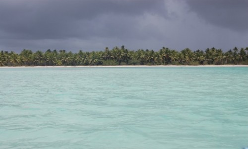 Zdjcie DOMINIKANA / Dominikana / Saona / Wyspa Saona, Dominikana