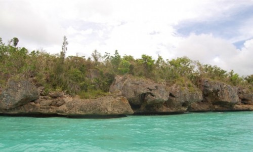 Zdjcie DOMINIKANA / Dominikana / East National Park / Parque Nacional Del Este, Dominikana