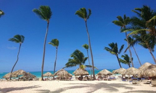 Zdjcie DOMINIKANA / Dominikana / Punta Cana / ¡Bienvenidos! a Punta Cana, Dominikana