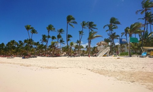 Zdjcie DOMINIKANA / Dominikana / Punta Cana / La Playa en Punta Cana