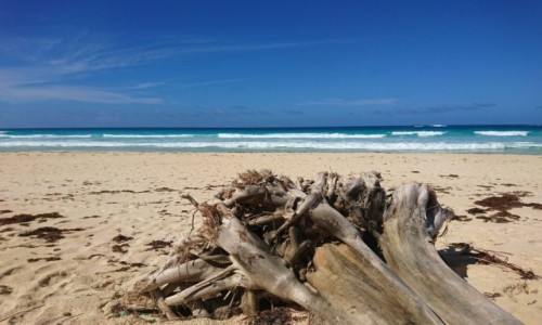Zdjcie DOMINIKANA / Dominikana / Punta Cana / Odpoczynek nad oceanem
