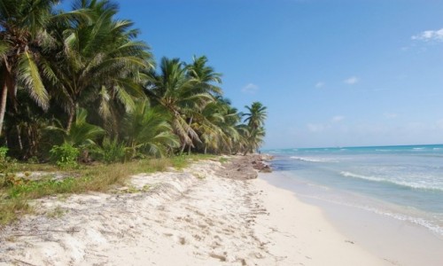 Zdjcie DOMINIKANA / La Altagracia / Saona / Wybrzee Saony, Republika Dominikaska