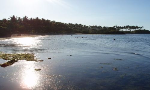 Zdjęcie DOMINIKANA / costambar / plaza / dominicana