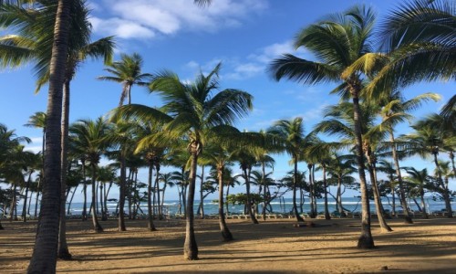 Zdjcie DOMINIKANA / Puerta Plata  / Puerta Plata  / Dominikaski raj 
